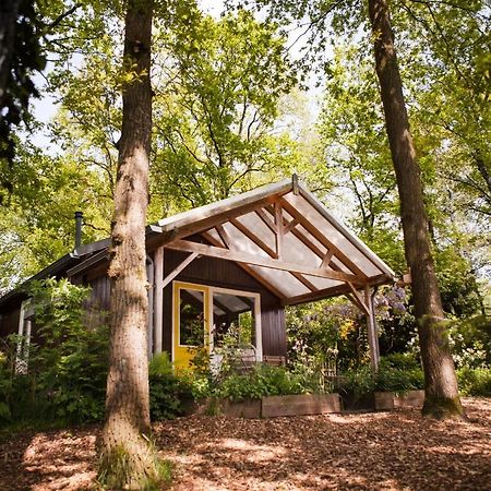 Knus Boshuisje Onder De Eiken Ermelo Eksteriør billede